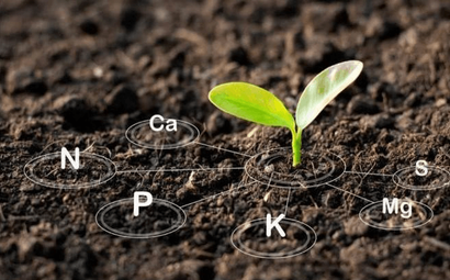 SP Aqua Food Testing Laboratory