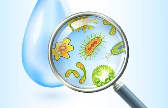 SP Aqua Food Testing Laboratory