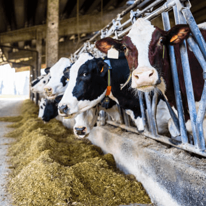 SP Aqua Food Testing Laboratory