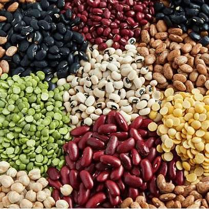 SP Aqua Food Testing Laboratory